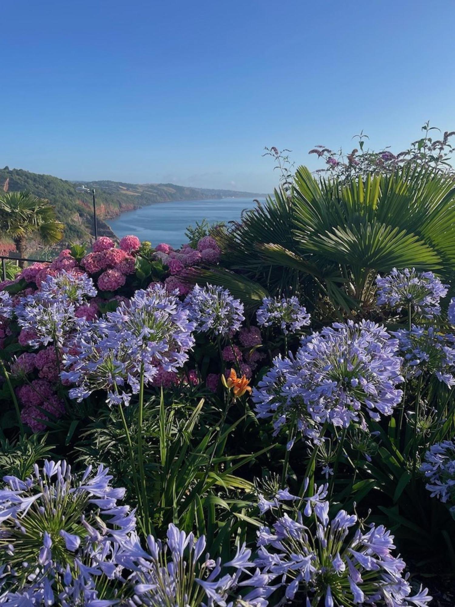Headland View Boutique B&B トーキー エクステリア 写真